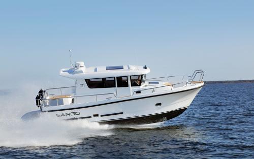 sargo-31-robuust.jpg